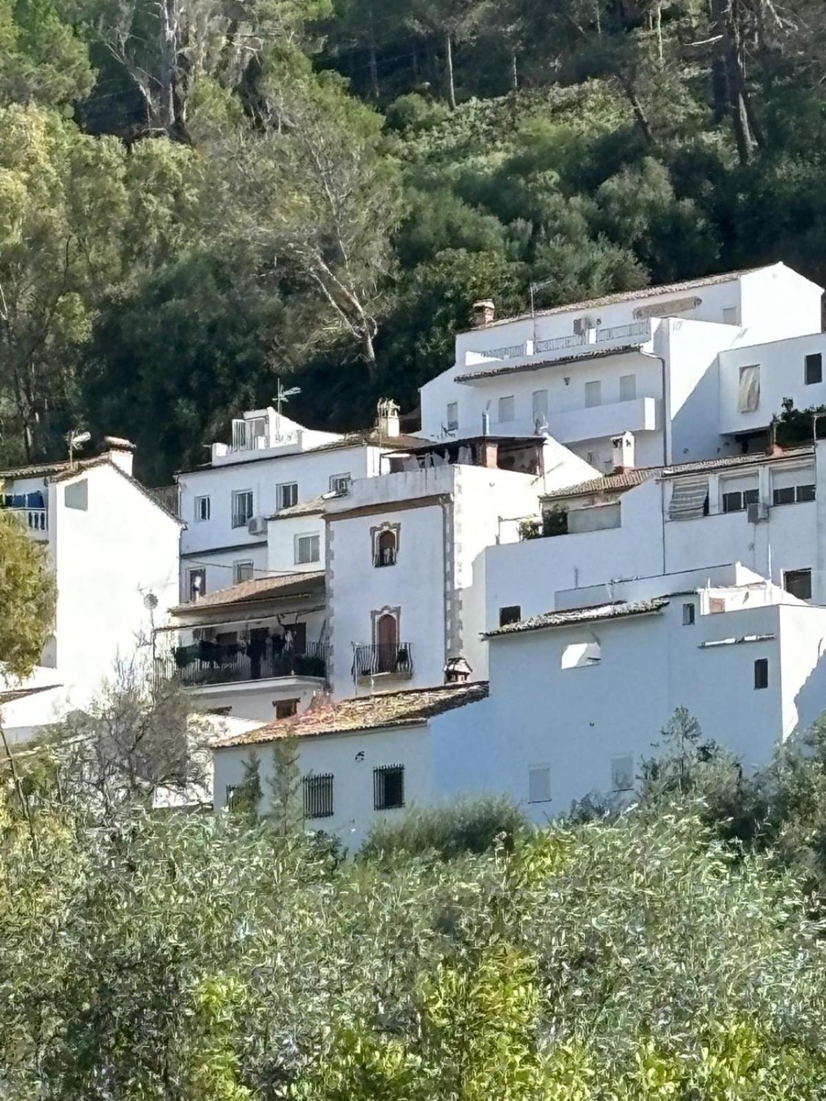 El Rincon De Las Higueras El Bosque Eksteriør bilde