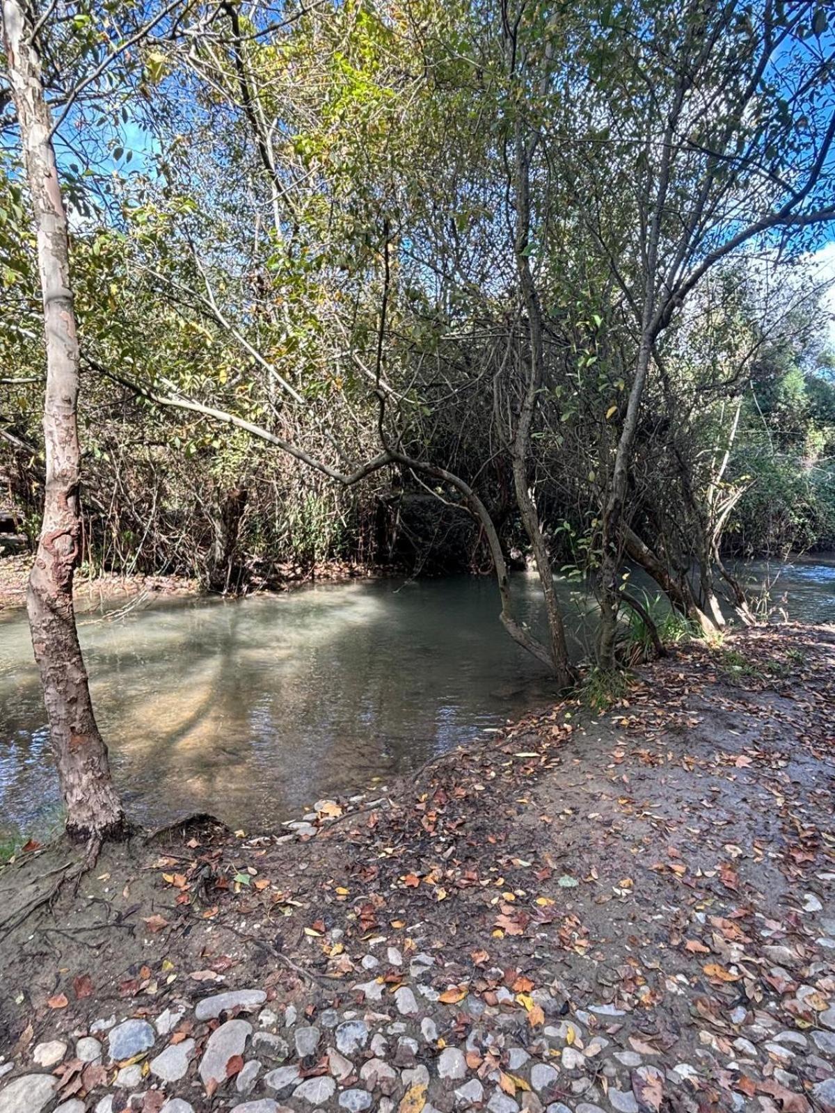 El Rincon De Las Higueras El Bosque Eksteriør bilde