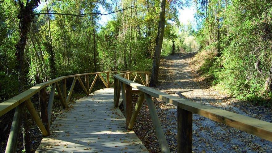 El Rincon De Las Higueras El Bosque Eksteriør bilde