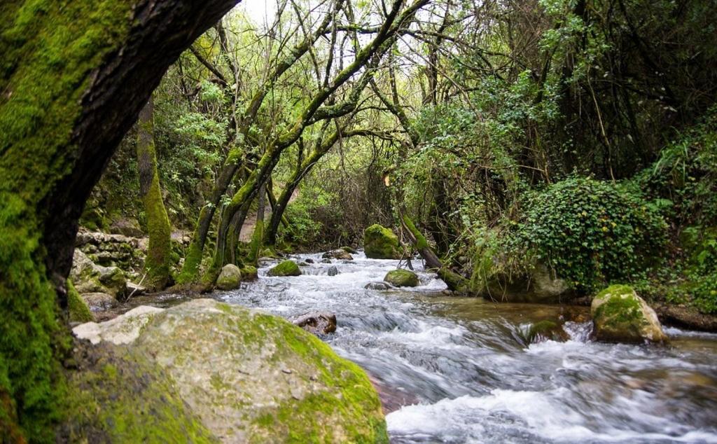 El Rincon De Las Higueras El Bosque Eksteriør bilde